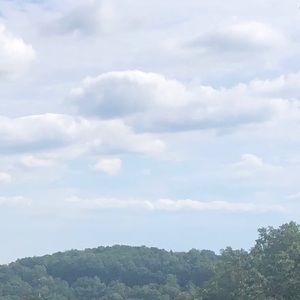 Meet your Posher, Kani’ya